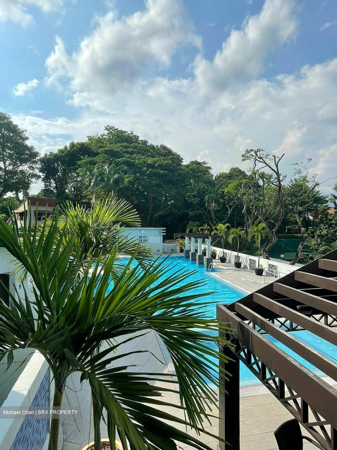 Leedon 2 (D10), Condominium #349751791
